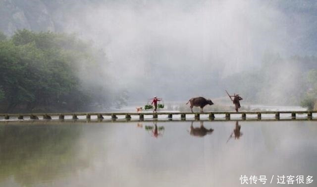 最有禅意的一首诗,仅二十个简单的汉字,却很少有人看得懂