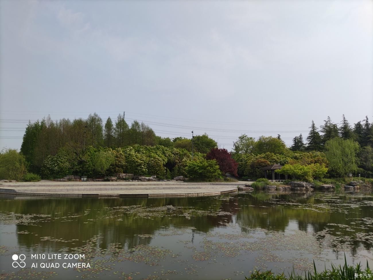 春季游览印象黄河景区