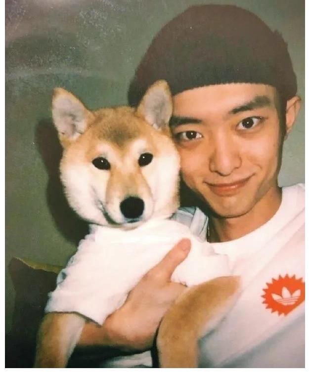 杨紫|杨紫处境很尴尬？肖战京东鹅厂深度合作？黄明昊综艺报价八位数？