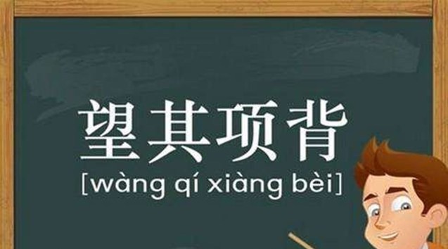 涨知识，原来这些成语是这样的意思，都来学学吧