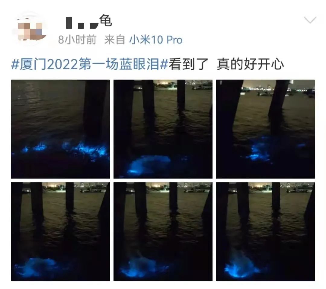海峡导报|突发！厦门海沧湾公园人人人人人
