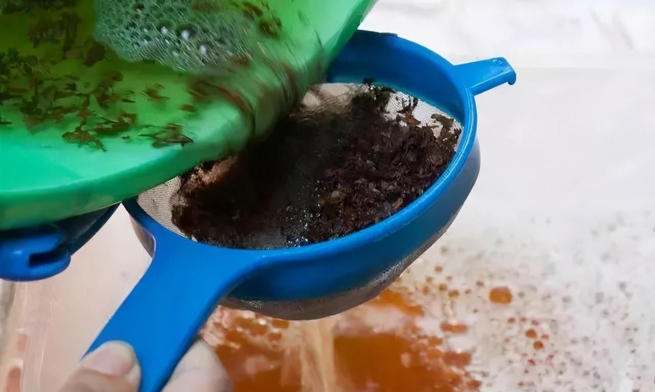 虫子总围着花草嗡嗡飞?自制“4样”杀虫剂,安全无毒,效果好