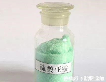 复合肥|养花必备“3种肥”,啥花都能用,每月花盆撒一点,嗖嗖爆盆!