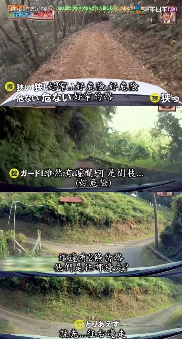 房好吃惊|23年种5700棵树 这个老人把荒山建成了森林公园