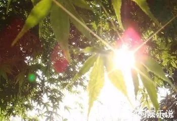 秋冬|三伏天，不吃三饭，不睡三觉，做好三防，为秋冬健康，打下基础！