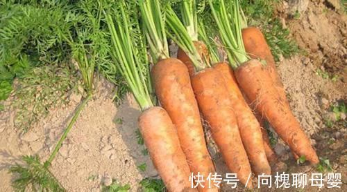 身体|衰老快的女性,身体或会亮出4个“红灯”,别大意,多重视保养