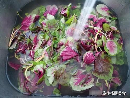 孩子|要想孩子窜到“一米八”，多给孩子吃这菜，钙量是牛奶的好几倍！