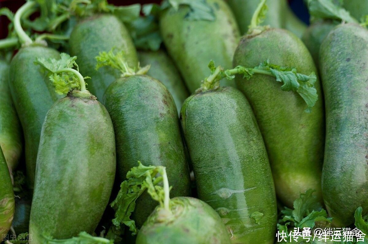 伏羊|小暑吃什么传统食物?多吃这12种食物最好