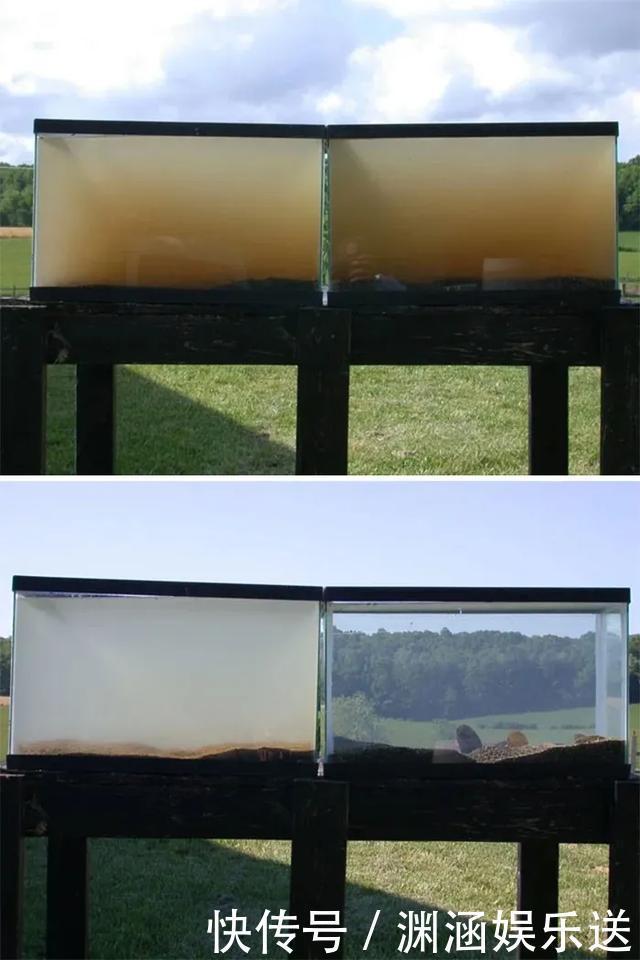 25张不可思议的对比图,你可能一张都没见过!