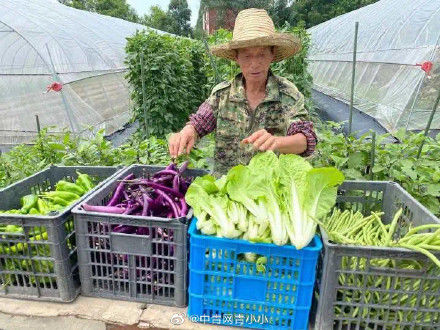 博士|“每天要吃100只！”男博士加班“吃瓜”：嘴巴都不是自己的了