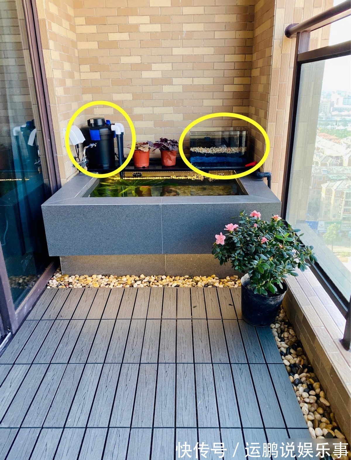 住高层这么干,阳台窗前20公分,用红砖围一圈水池,养鱼种花都好