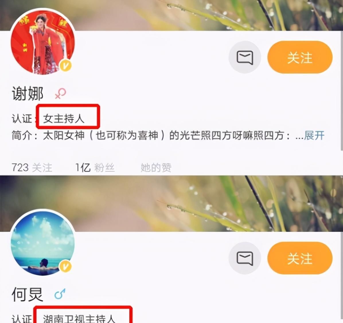 汪涵何炅谢娜被曝同时退出芒果关联公司,《快本》、《天天向上》早已暴露弊端