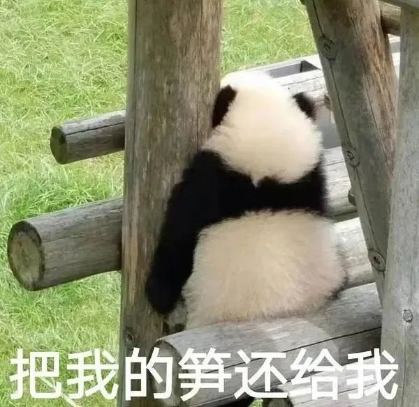 榜单|“双减”“三孩”“元宇宙”等入选2021年“十大网络热议语” ，“卷/内卷”二度上榜