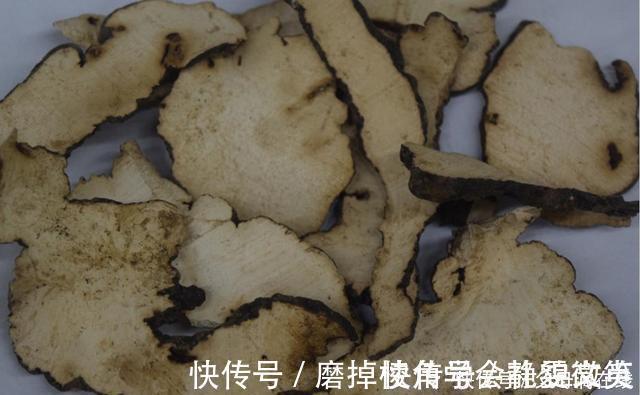 泽泻|有一味中药取名不太雅,善于利水祛湿,去湿气诸药“无如此快”