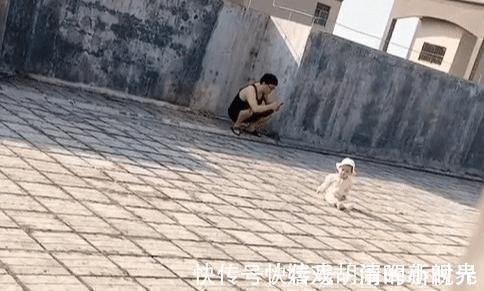 天台|奶爸带娃在天台“佛系”晒太阳火了,所谓父爱如山,一动不动