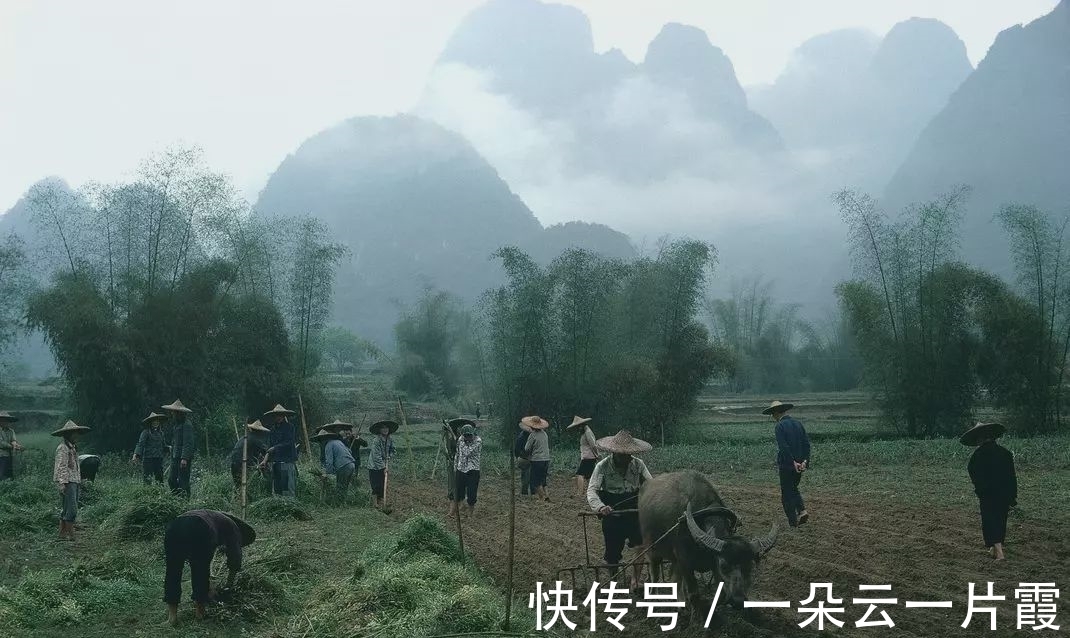 文学界#荣获诺奖为国增光，却遭全民怒骂：被骂整整8年，莫言究竟错在哪