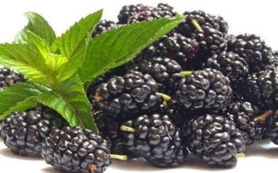 营养|爱美女性要多吃3种食物,补充营养、延缓衰老,早吃早健康!