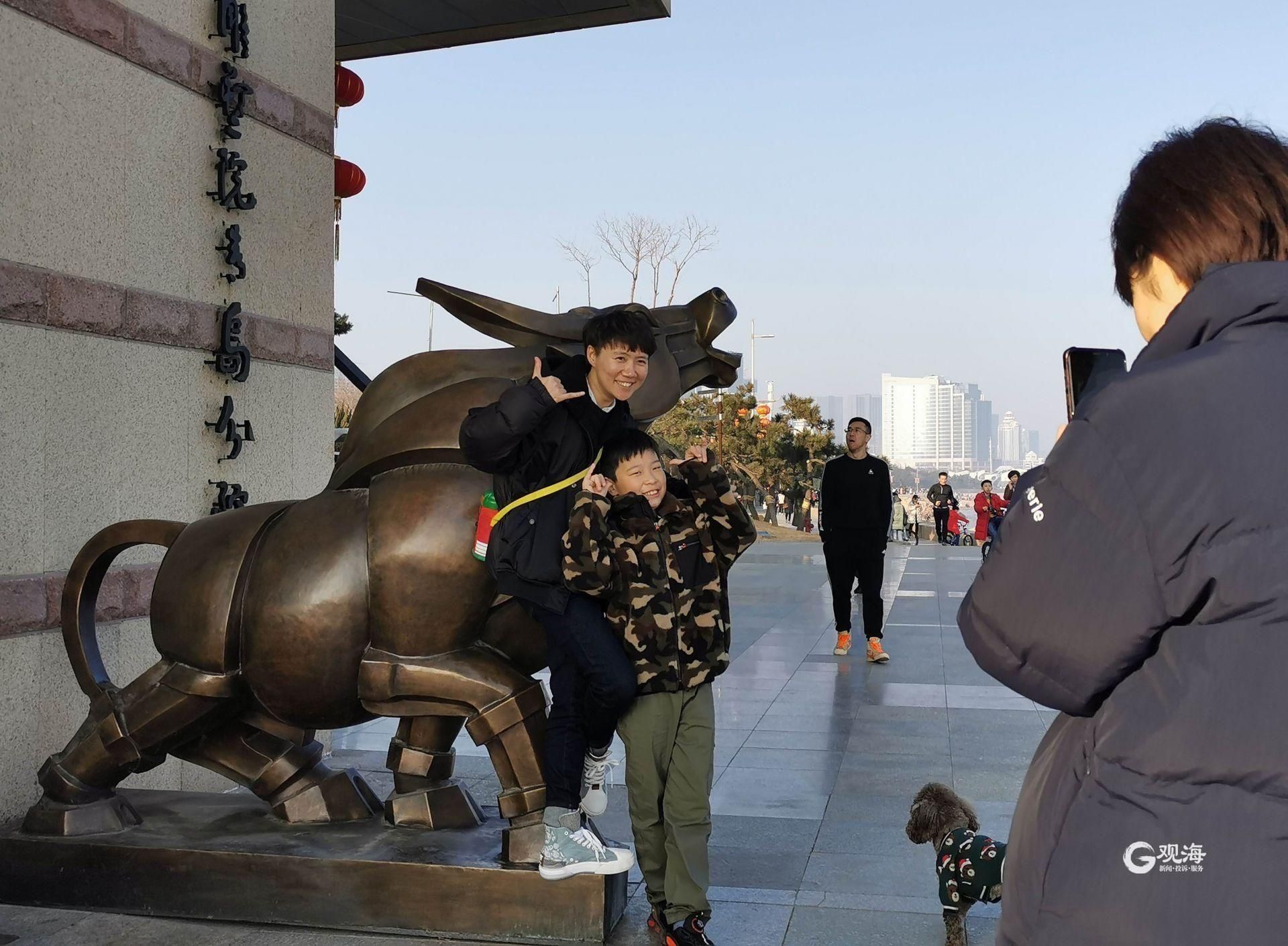 老年|牛年到 拍“牛照”！青岛雕塑园变拍照打卡地