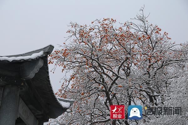 入冬|@邹平市民：入冬以来第一场雪请您查收