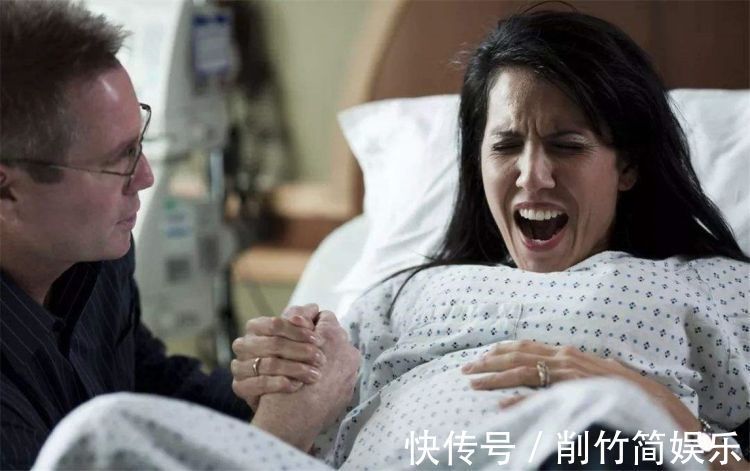 动物|为什么动物生娃都很轻松,人类却很痛苦?建议成年人都看一看