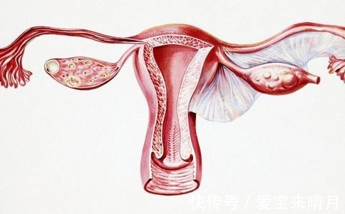 症状|输卵管堵塞了,平时有什么症状?