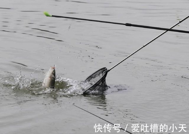 鳊鱼|百里寻鱼“焉知非福”老钓鱼人30年经验之谈,寻鱼不再难