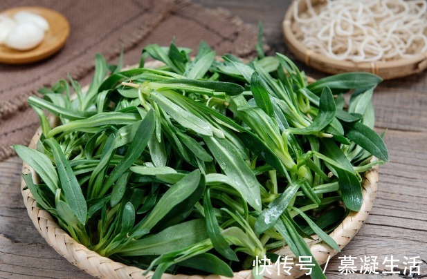 吃法|68种野菜图片,教你认识不同的野菜和吃法,你想要的野菜这里都有