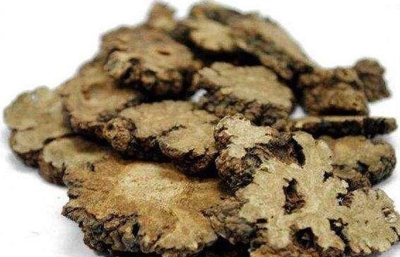 汇总|每天学一味中药汇总高血压、糖尿病、心脏病，中医都有什么药