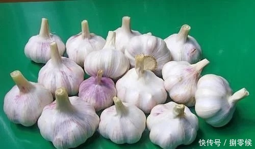 家里保存大蒜其实很简单,教你个土法子,别再担心大蒜长芽干瘪了