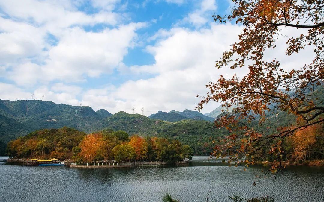 初冬|风光正好，枫叶已红！温州这些初冬美景，等你来赏~