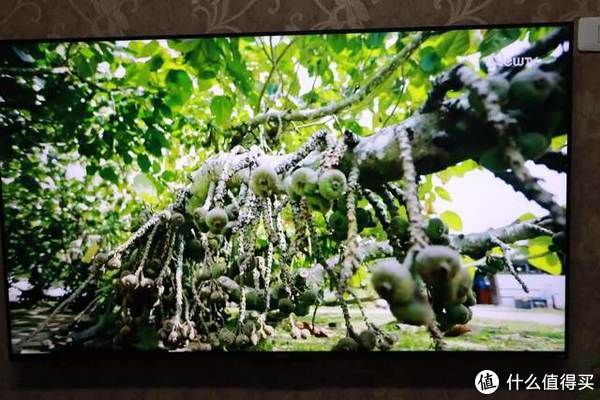 k9|老房改造日记·客厅休闲篇之OPPO K9电视