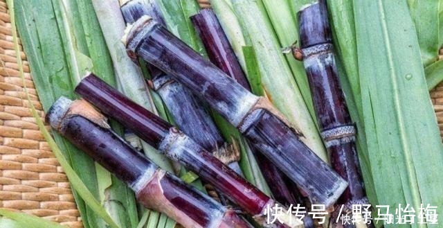 腹泻|胃不好的人，常吃这几种养胃水果，为了自己的胃部健康，了解一下