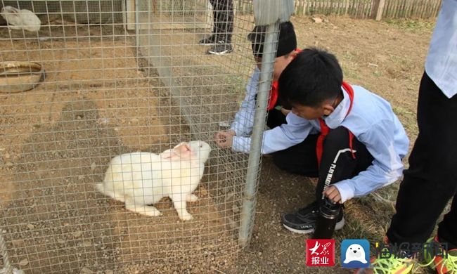 新闻记者&弘扬传承优秀文化 体验亲近美好自然——泰山大安小学积极开展学生劳动实践教育