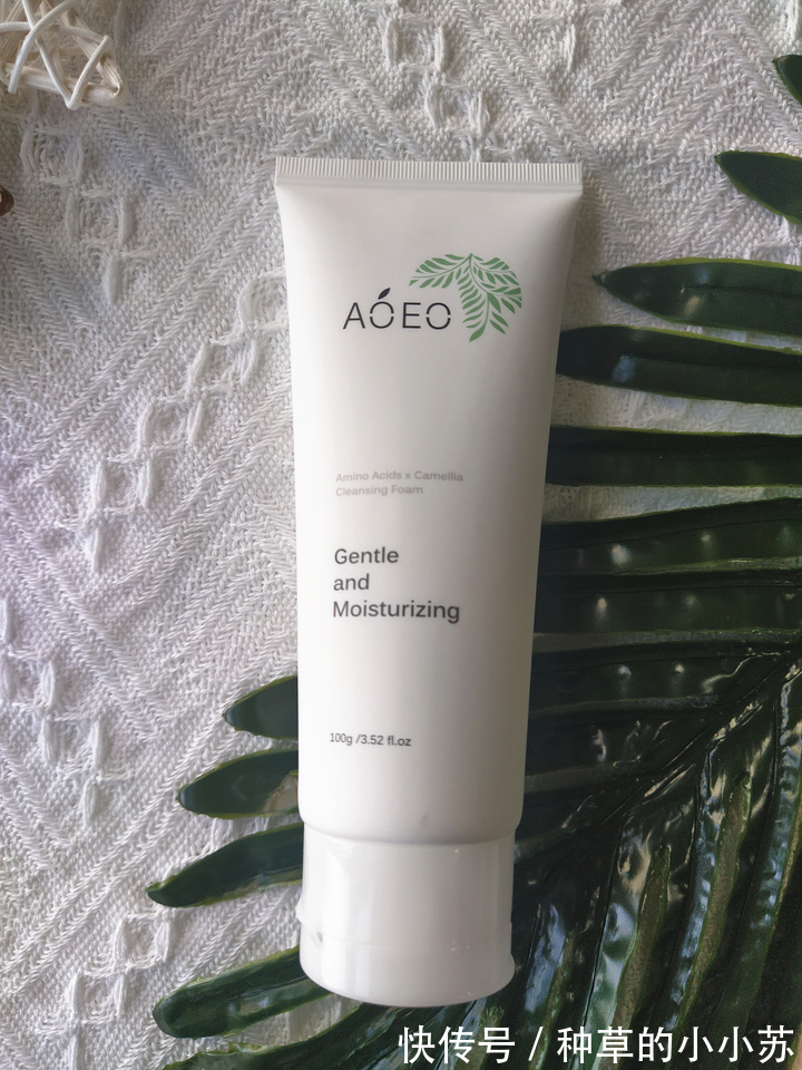 山茶花|洗面奶挑不好?那是你还没遇到“它”,公认好用的洗面奶之一