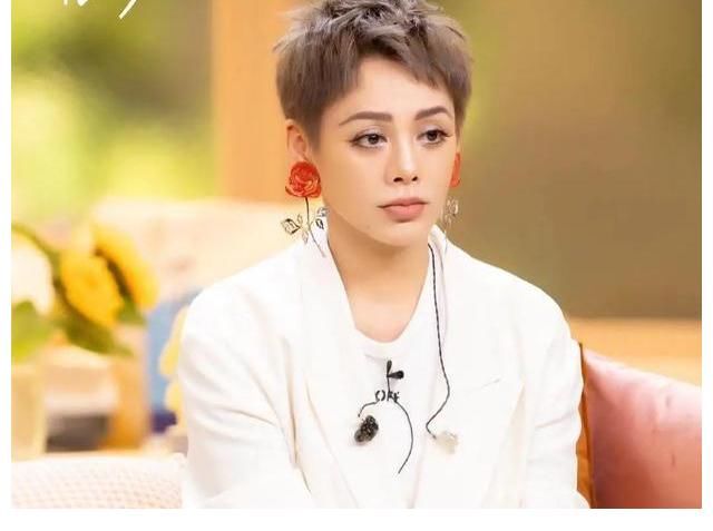 宁静|《怦然心动20岁》收官，为何中年的宁静、萧敬腾、钟欣潼如此上头