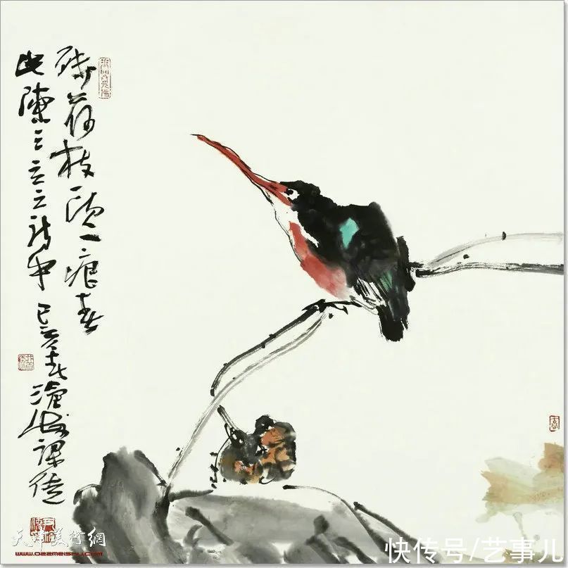 库尔勒!尹沧海教授荷花水禽作品欣赏:笔意简率自由 一派天趣自成