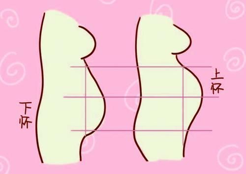区别|孕肚上怀和下怀有啥区别?与宝宝性别无关,父母要知道