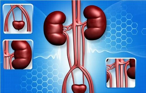  肾炎类型肾病该怎么治？果断采取3项措施，可显著改善肾功能