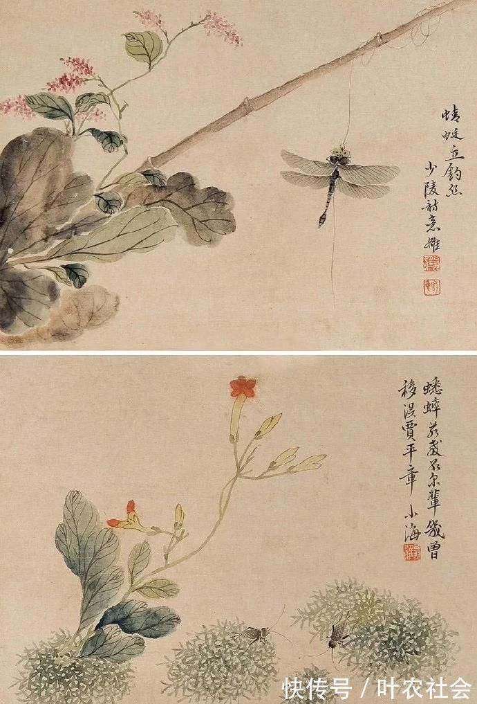 翁小海|笔精墨妙 生动尽致——清末画家翁小海先生工笔画欣赏