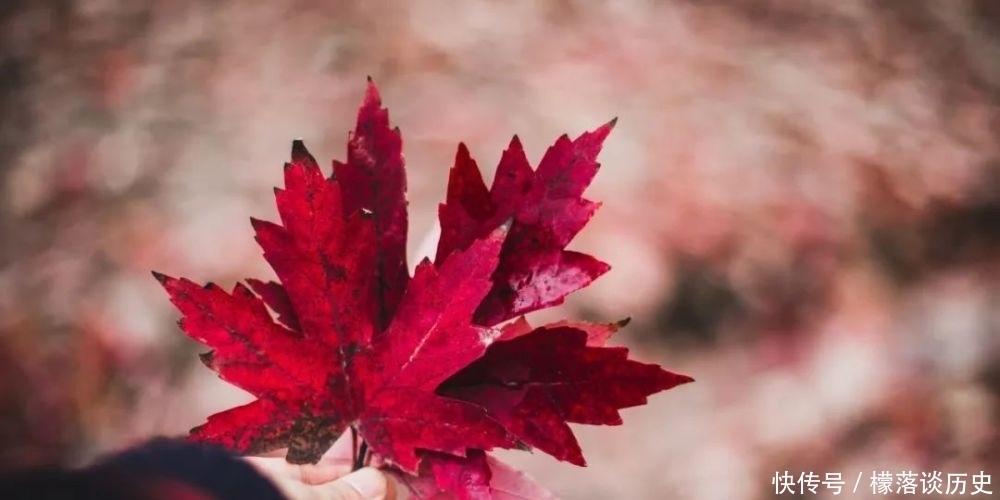 善恶|善恶报应(一个真实的因果故事!)