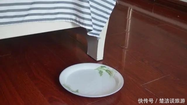 蚊子|今天才知道,驱蚊方法很简单,不用点蚊香,家里一只蚊子都没有