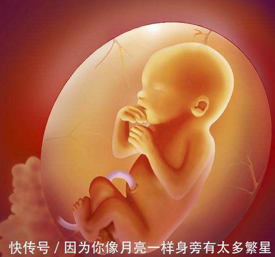 除夕之夜|孕期胎儿有这些表现,说明智力发育好,以后肯定聪明,妈妈该窃喜