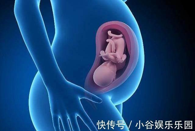 小诺|胎儿进入猛涨期的四类“信号”,妈妈要能捕捉到,宝宝才能长得好