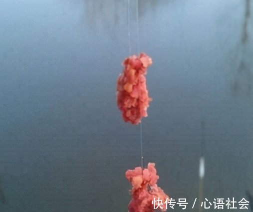 主线|野钓鲫鱼如何巧妙搭配线组，线组的搭配不对一切辛苦全白费！
