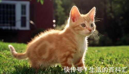 |幽默笑话:当年老婆是音乐系的系花,追她的人很多,我能被她看上