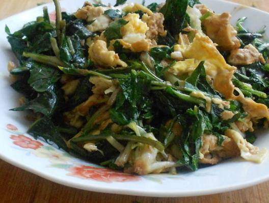 麻辣油|蒲公英是最好的“排毒草”，2种吃法最养人，快告诉家里人！