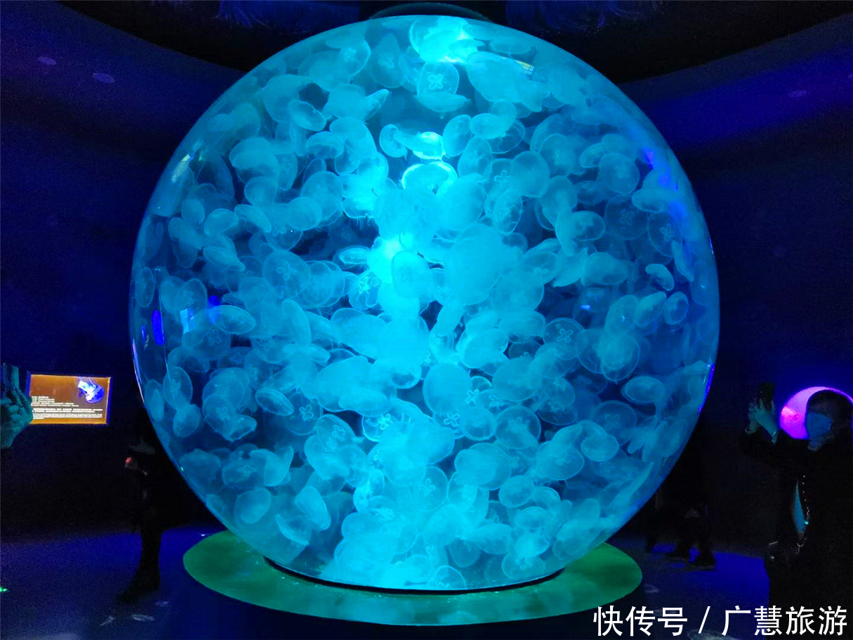 刘明杰|日照游玩景点种草,必玩的大型沿海美景除海洋公园全免费,每一处都超值