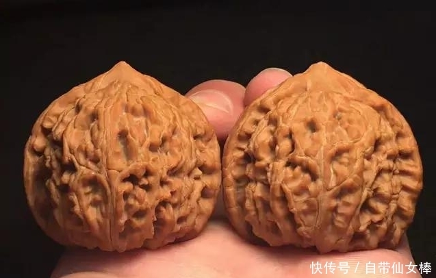 文玩核桃|文玩核桃的四个死穴你知道是什么吗?千万要注意了!