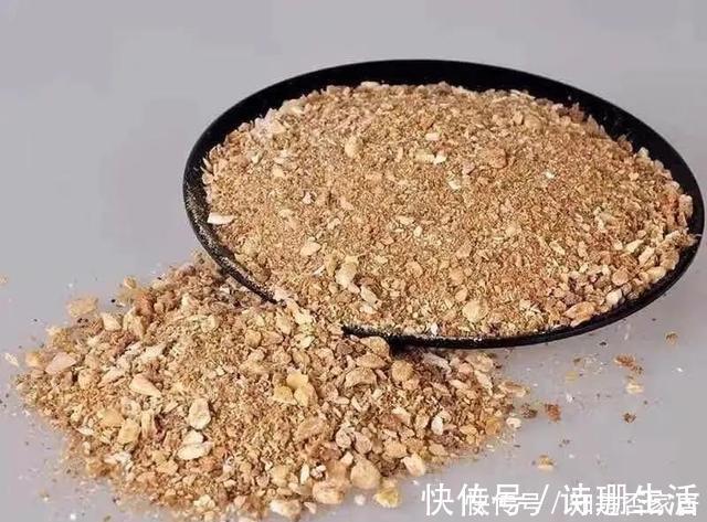 小东西|牛人养花,常用这4种小东西,养花土里掺一点,啥花都能养爆盆