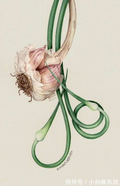 花卉#一位全职妈妈喜欢疯狂画画,教你画水彩花卉